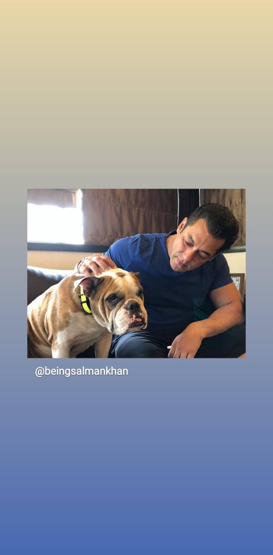 SALMAN KHAN SHARED PICS WITH MOST LOVING PET